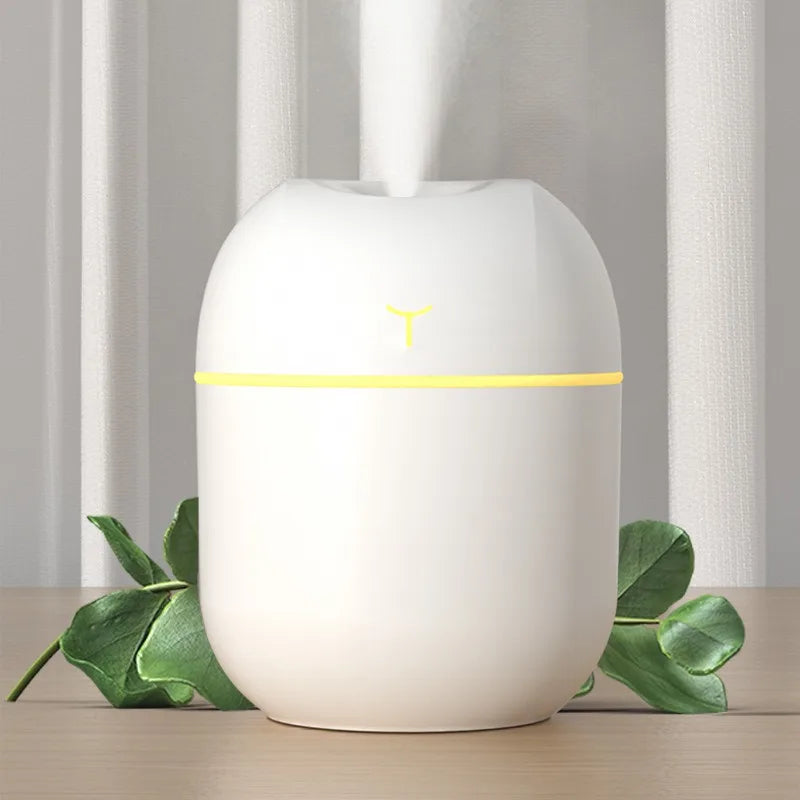 Mini Umidificador portátil de 220ml H2O